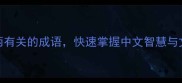 100个与两有关的成语快速掌握中文智慧与文化内涵