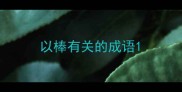 以棒有关的成语