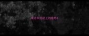 成语华灯初上的意思