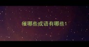 催哪些成语有哪些