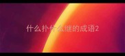 什么扑什么继的成语
