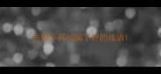 去掉不好的留下好的成语