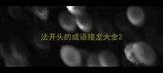 法开头的成语接龙大全