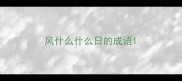 风什么什么日的成语