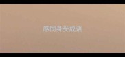 感同身受成语