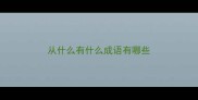 从什么有什么成语有哪些