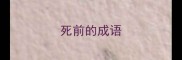 死前的成语