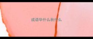 成语华什么秋什么