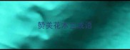 赞美花木兰成语