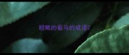 粗略的看马的成语