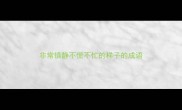 非常镇静不慌不忙的样子的成语