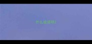 什么成语明