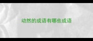 动然的成语有哪些成语