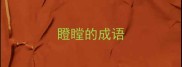 瞪瞠的成语