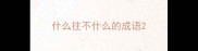 什么往不什么的成语