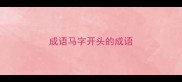 成语马字开头的成语