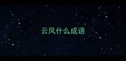 云风什么成语