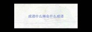 成语什么精会什么成语