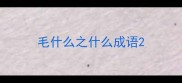毛什么之什么成语