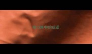 精力集中的成语