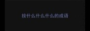 按什么什么什么的成语
