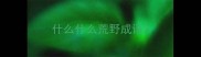 什么什么荒野成语