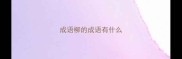 成语柳的成语有什么