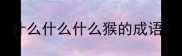 什么什么什么猴的成语