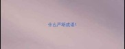 什么严明成语