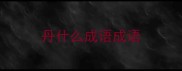 丹什么成语成语