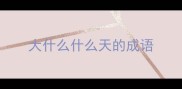 大什么什么天的成语