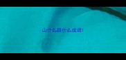 山什么路什么成语