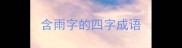 含雨字的四字成语