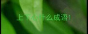 上下心什么成语
