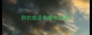卵的成语有哪些成语