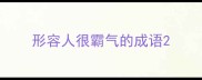 形容人很霸气的成语