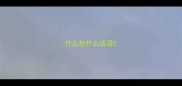 什么妙什么成语