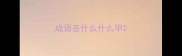 成语丢什么什么甲