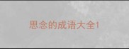 思念的成语大全