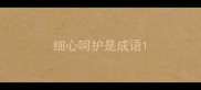 细心呵护是成语