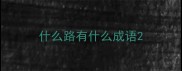 什么路有什么成语