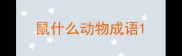 鼠什么动物成语