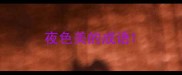 夜色美的成语