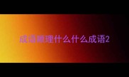 成语顺理什么什么成语