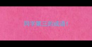 同字第三的成语
