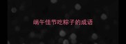 端午佳节吃粽子的成语