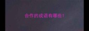 合作的成语有哪些