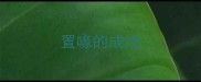 置喙的成语