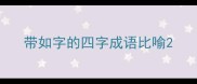 带如字的四字成语比喻