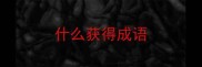 什么获得成语